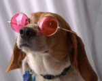 rose_colored_glasses